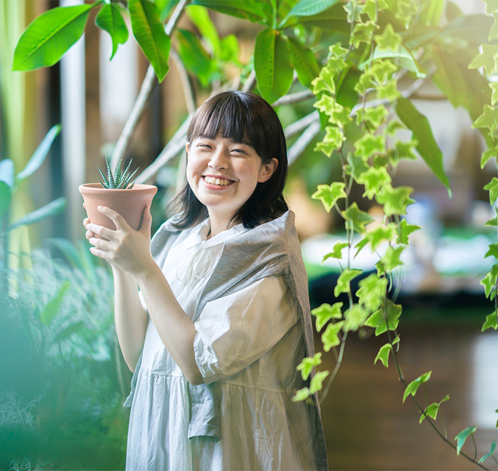 観葉植物をお部屋に