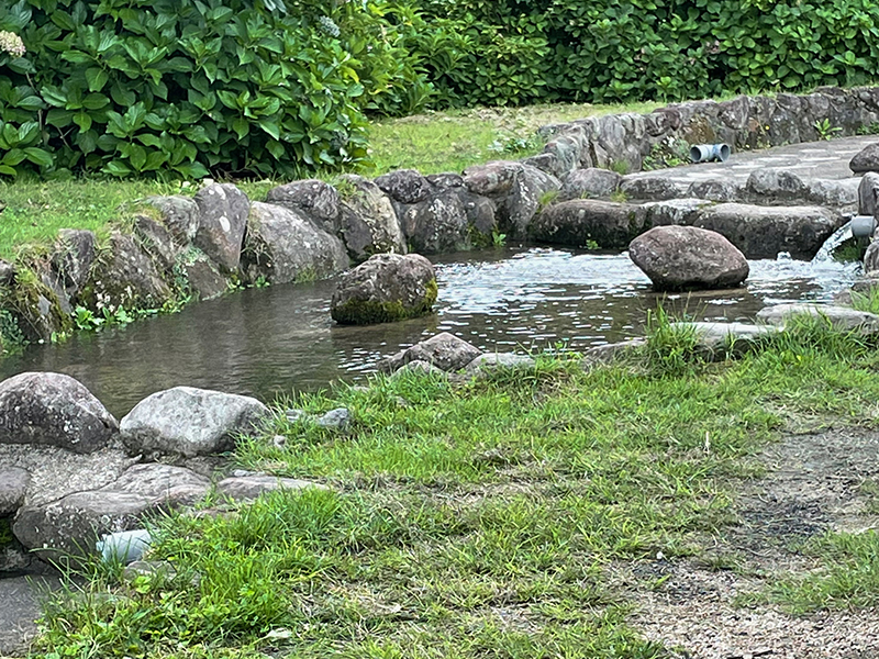 画像、掴み取りエリア水あり