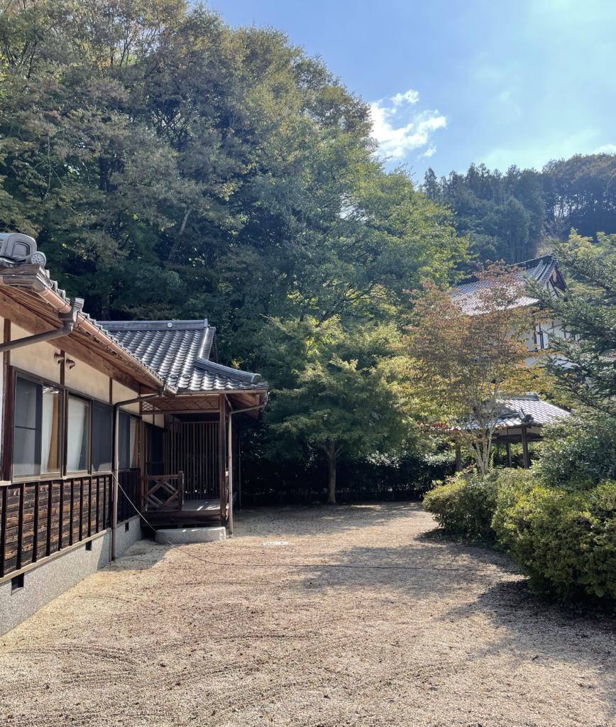 庭からみた様子